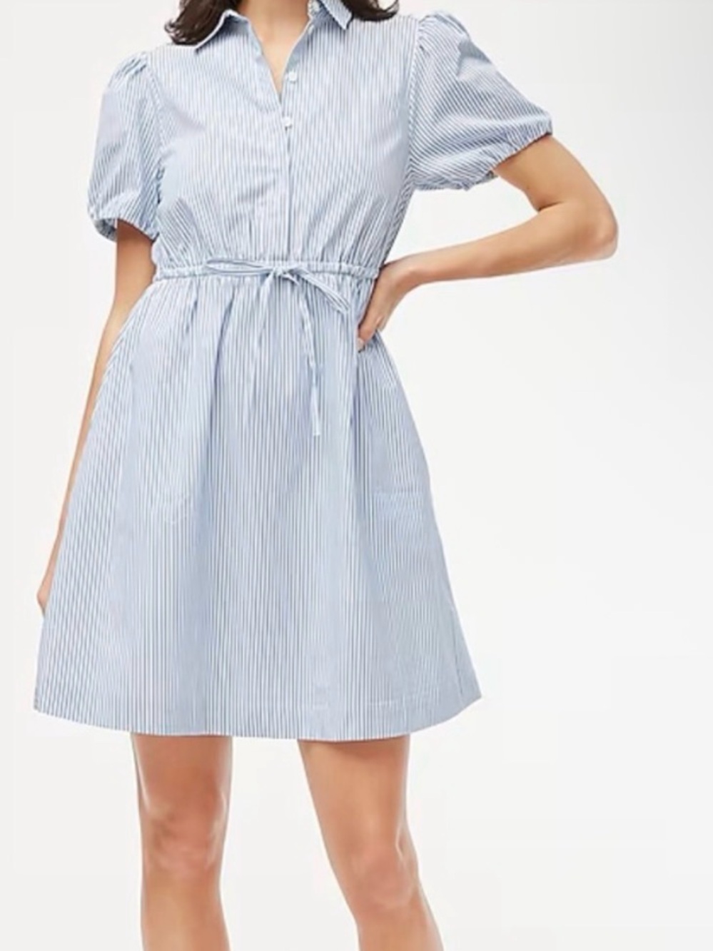 J. Crew Blue and White Striped Shirt
